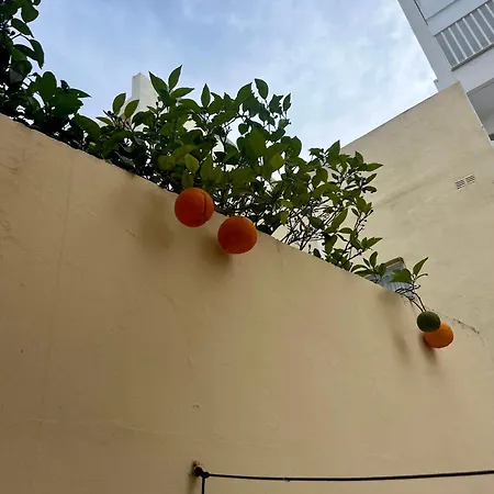 Lovely Room, In Shared House Perfect Location * Is-Swieqi